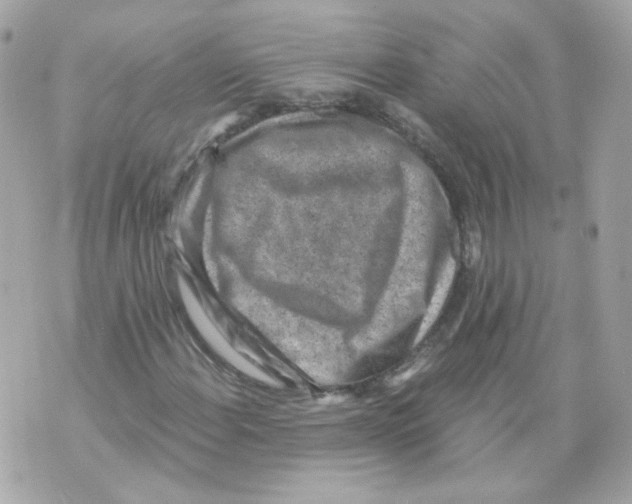 X0000069831108200606161933