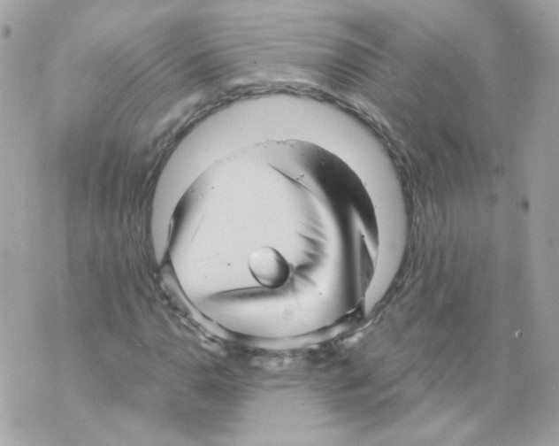 X0000069831110200606161933