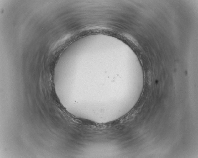 X0000069831111200606161933