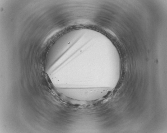 X0000069831112200606161933