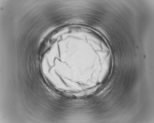 X0000069831115200606161933