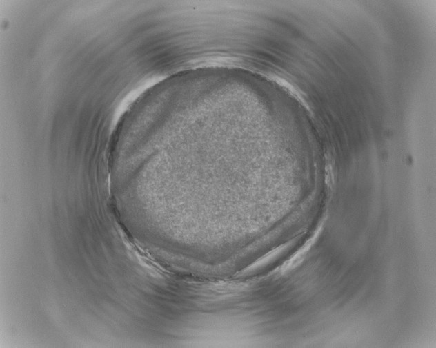 X0000069831117200606161933