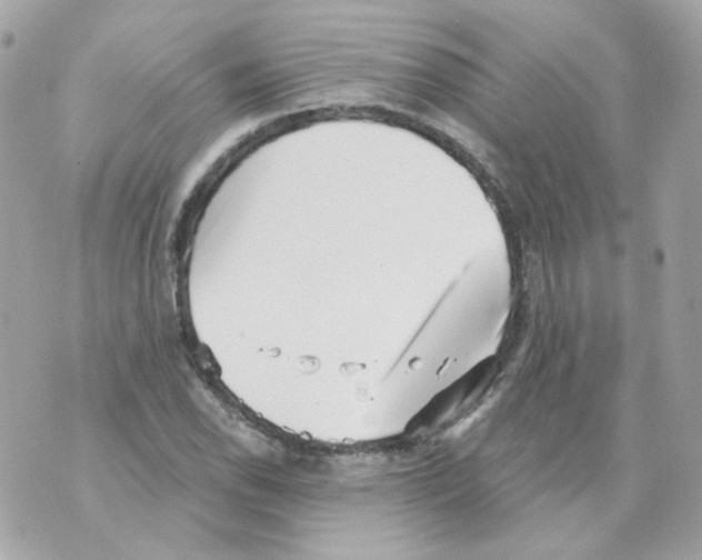 X0000069831118200606161933