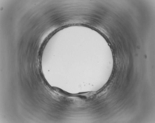 X0000069831119200606161933