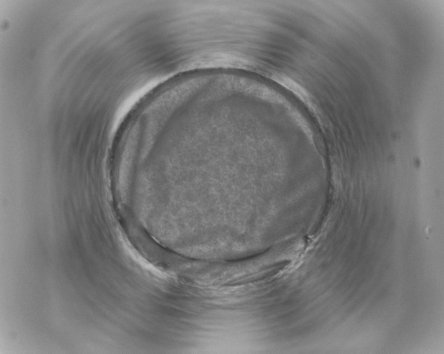 X0000069831120200606161933