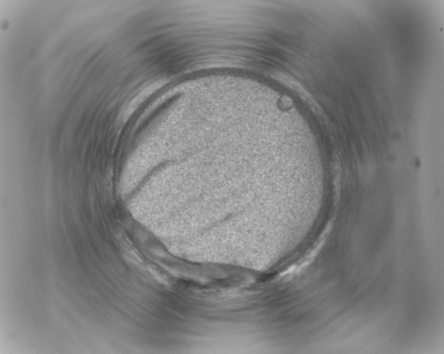 X0000069831121200606161933