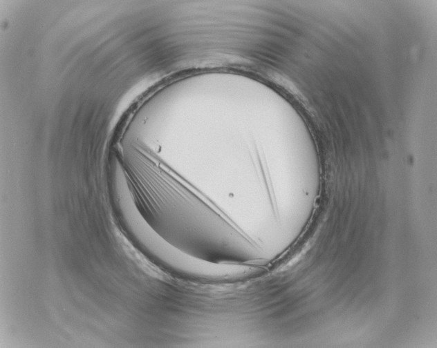 X0000069831122200606161933