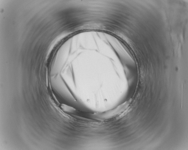 X0000069831123200606161933