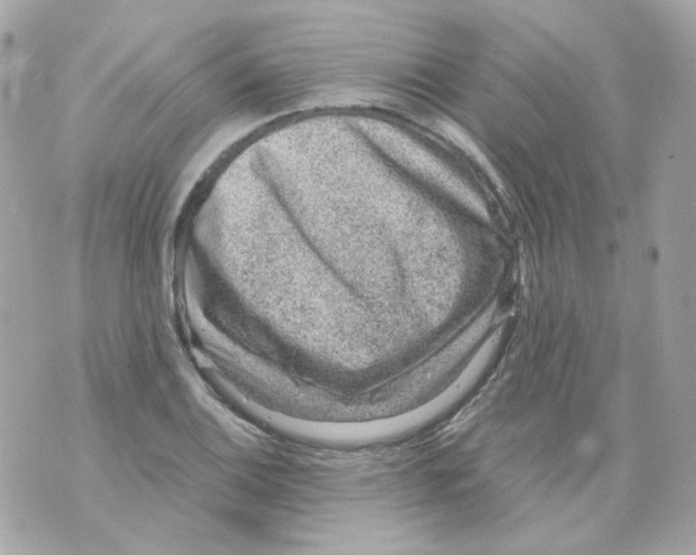 X0000069831124200606161933