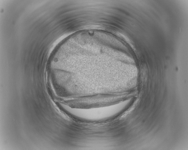 X0000069831125200606161933