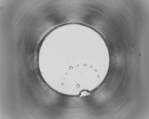 X0000069831126200606161933