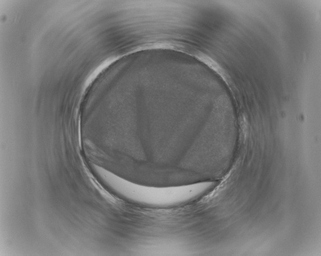 X0000069831127200606161933