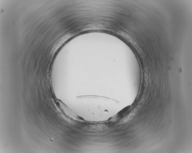 X0000069831129200606161933