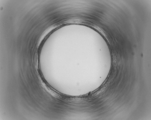 X0000069831131200606161933