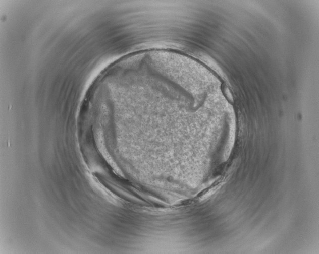 X0000069831132200606161933