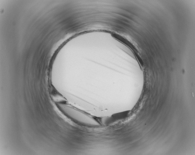 X0000069831134200606161933