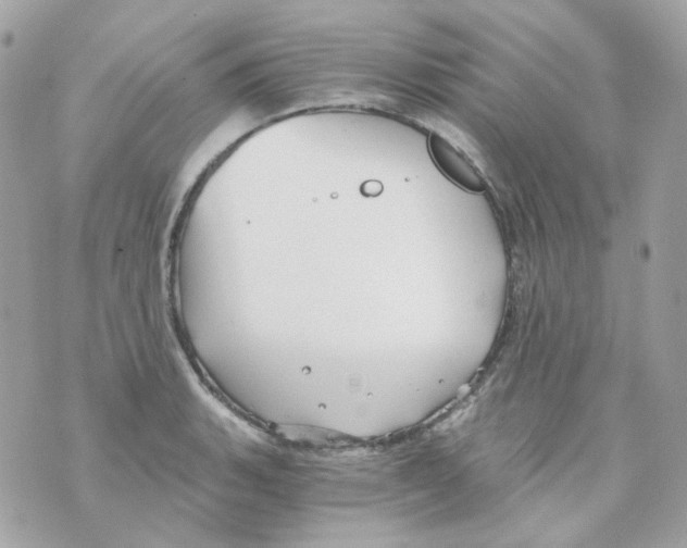 X0000069831135200606161933