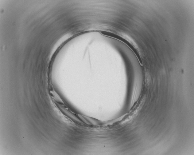 X0000069831138200606161934