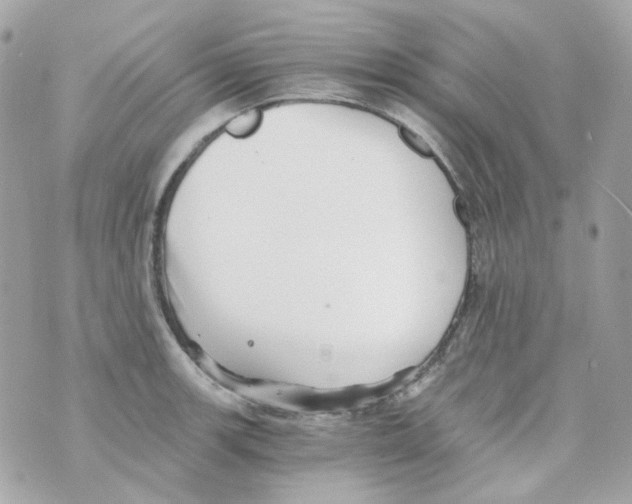 X0000069831139200606161934