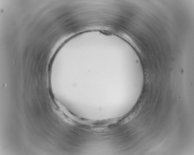 X0000069831140200606161934