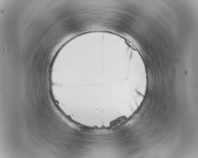 X0000069831142200606161934