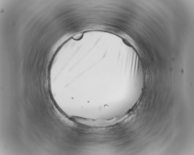 X0000069831143200606161934