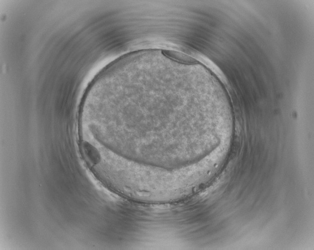 X0000069831144200606161934