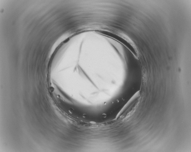 X0000069831146200606161934