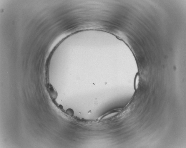 X0000069831147200606161934