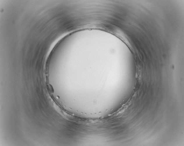 X0000069831148200606161934