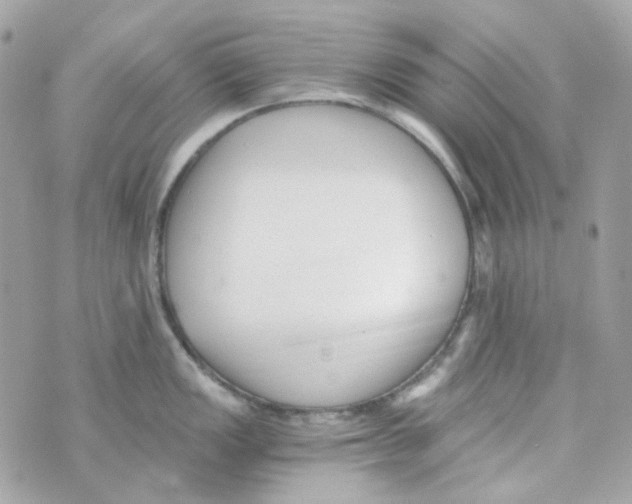 X0000069831149200606161934