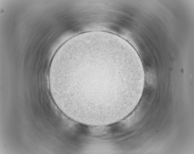 X0000069831150200606161934