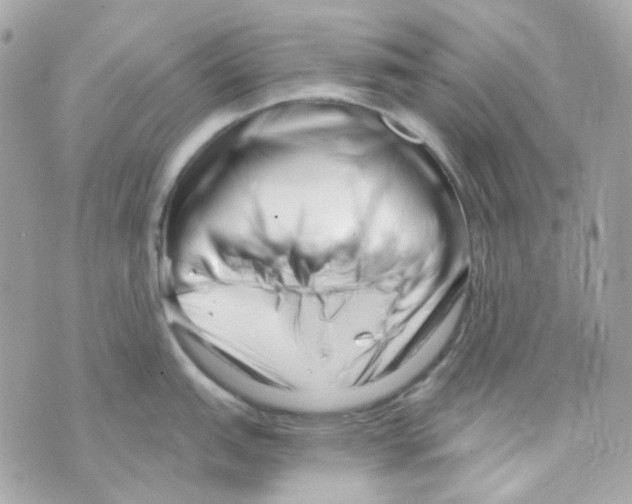 X0000069831151200606161934