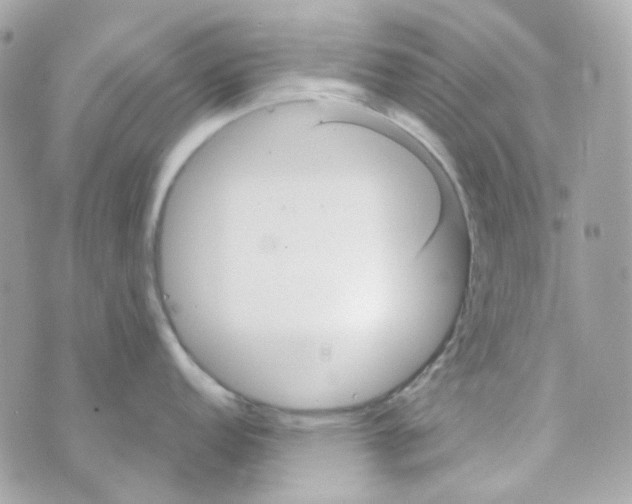 X0000069831152200606161934