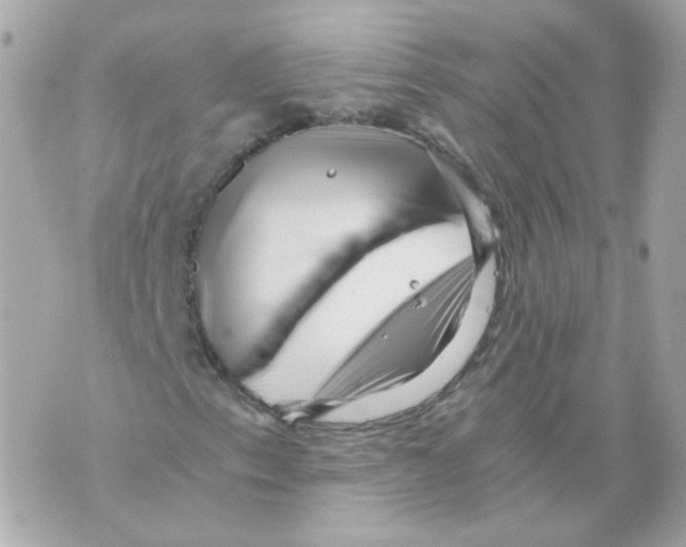 X0000069831153200606161933