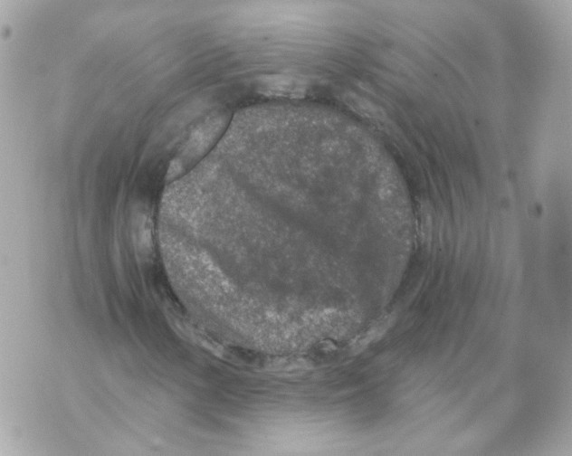 X0000069831154200606161933