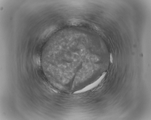 X0000069831155200606161933