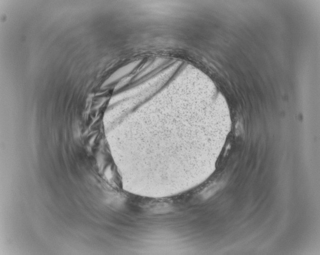 X0000069831156200606161933