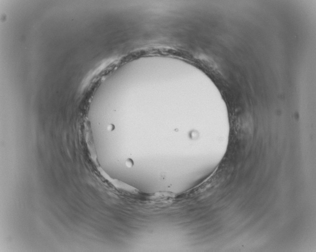 X0000069831159200606161933