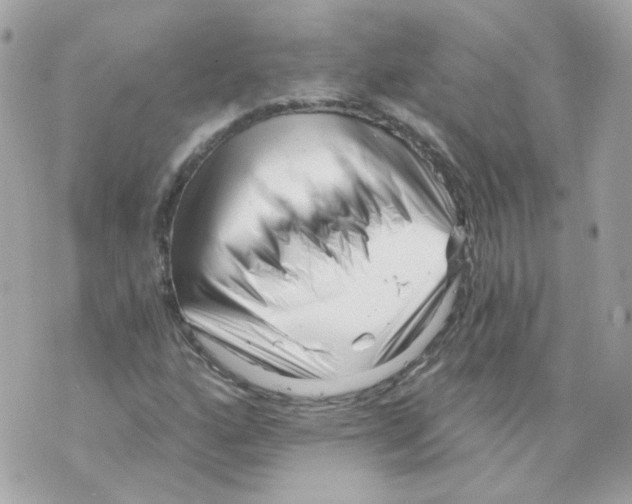 X0000069831160200606161933