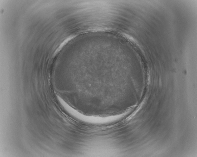 X0000069831161200606161933