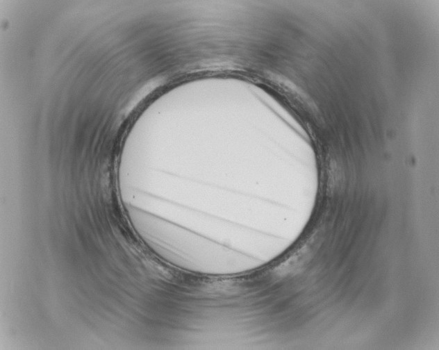 X0000069831162200606161933