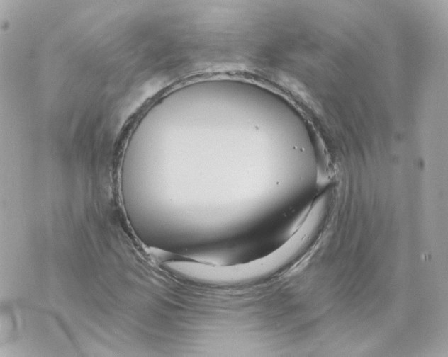 X0000069831165200606161933