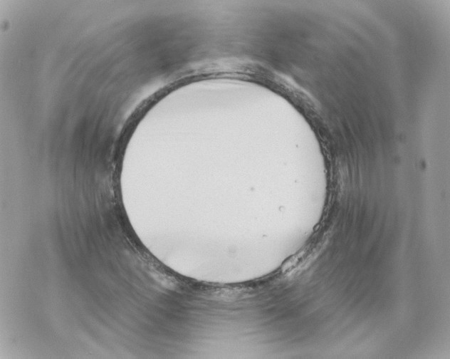 X0000069831166200606161933