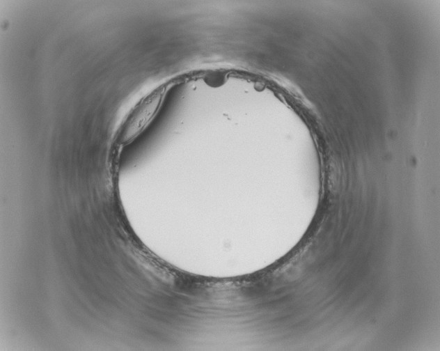 X0000069831167200606161933