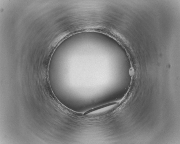 X0000069831169200606161933