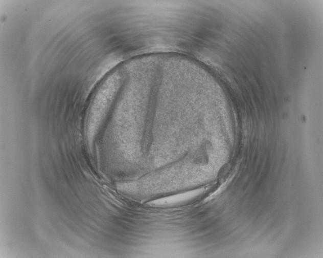 X0000069831170200606161933