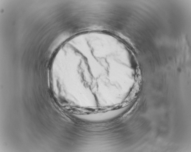 X0000069831171200606161933