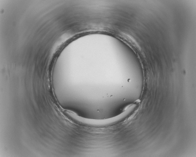 X0000069831172200606161933