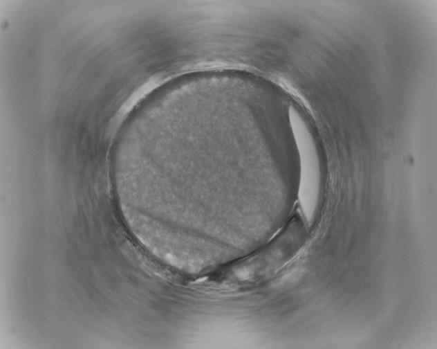 X0000069831173200606161933